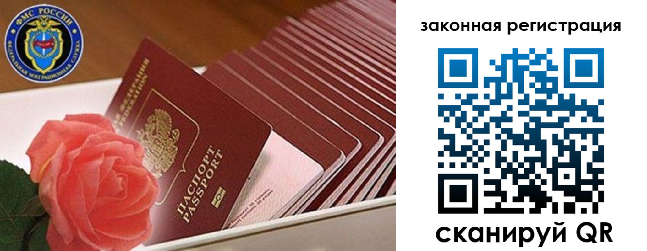 пропишу в квартире в Красном Куте